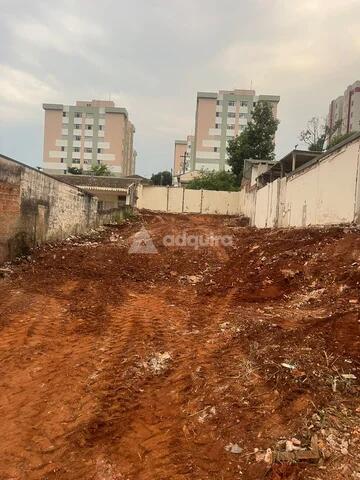 Foto Imóvel - Terreno à Venda, Estrela, Ponta Grossa, Pr