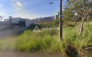 Foto Imóvel - Terreno à Venda Jardim Alphaville, Estrela, Ponta Grossa