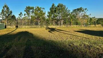 Foto Imóvel - Terreno à Venda No Condomínio Terras Alphaville Com 617,50m²