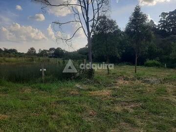 Foto Imóvel - Terreno à Venda Jardim Alphaville - Estrela, Ponta Grossa