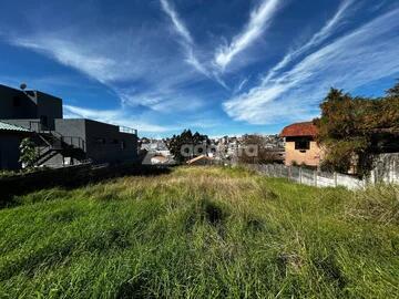Foto Imóvel - Terreno à Venda - 1.068 M² (17,8m X 60m) - órfãs, Ponta Grossa - Paraná