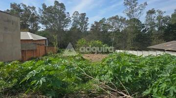 Foto Imóvel - Lote A Venda De 582 M2 No Bairro Uvaranas
