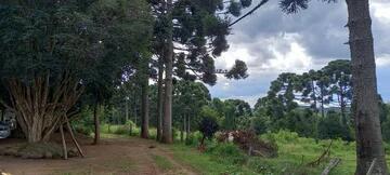 Foto Imóvel - Chácara à Venda, Catanduva, Carambeí, Pr
