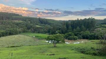 Foto Imóvel - Chácara à Venda, Colônia Dona Luíza, Ponta Grossa, Pr