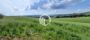 Miniatura - Foto Chácara a venda | Pirai do Sul