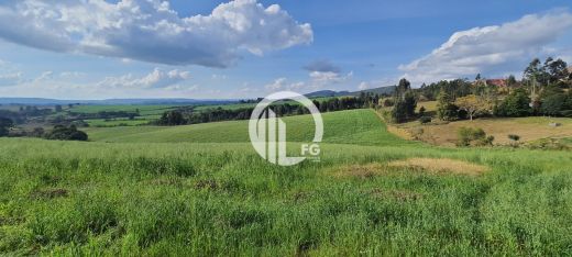 Foto Chácara a venda | Pirai do Sul
