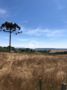Miniatura - Foto Chácara a venda | Pirai do Sul