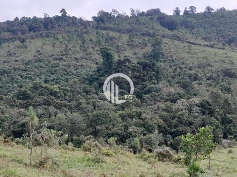 Foto Fazenda a venda | Castro